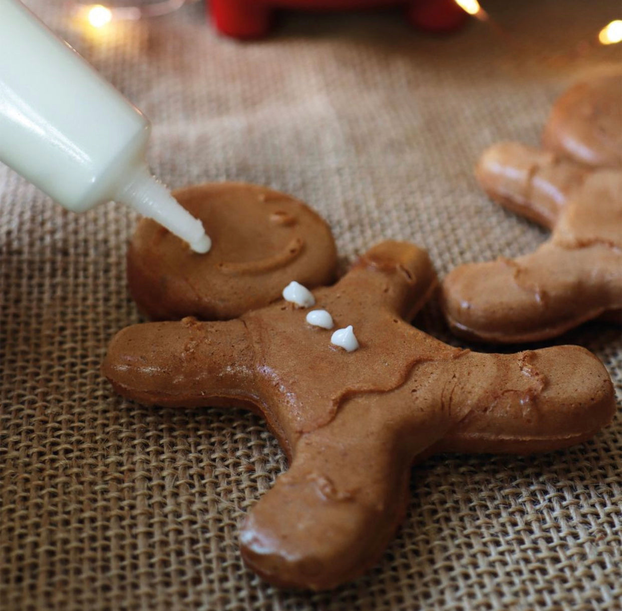 Gingerbread Pancake Factory – The Most Magical Christmas Kit!
